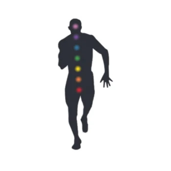 Personal Trainer Level 4